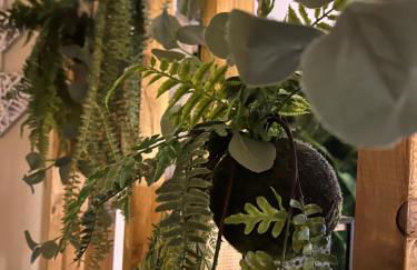 détente centre historique de MÂCON avec spa et ciné - Foto 17