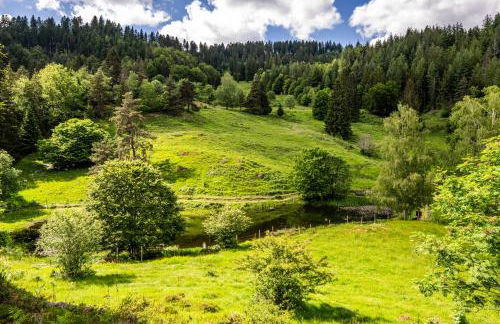 Ferienwohnung Bergzauber Schwarzwald - Foto 23