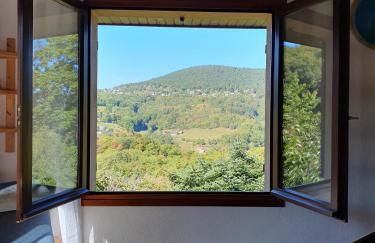 Le Chant du Loriot - Foto 7