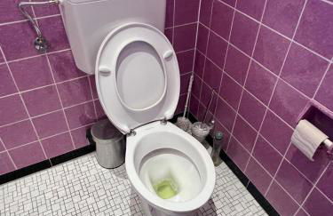 Bürgermeisterhaus mit Berg- & Waldblick - Foto 68