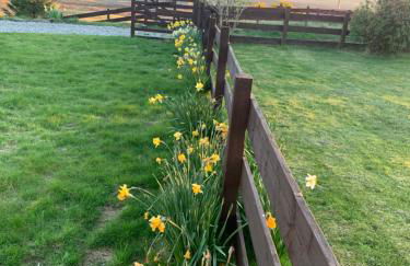 Pabay Self-catering - Foto 30