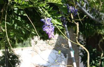 Le Coste Casa Vacanze - Photo 38