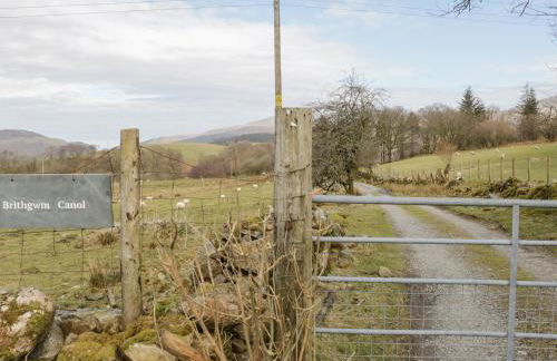 Brithgwm Canol - Foto 21
