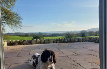 Disdow House - Foto 63