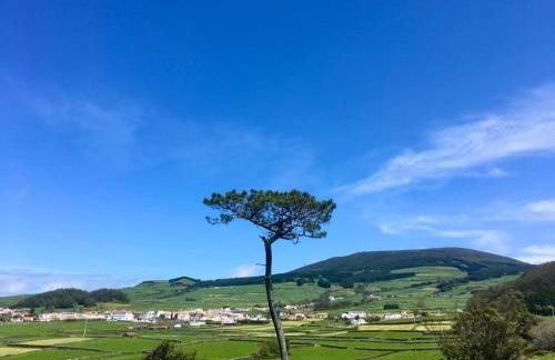 Casa Às Nove - Photo 43