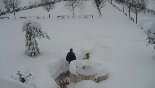 Agriturismo CHERUBINI DANIELA - Foto 5