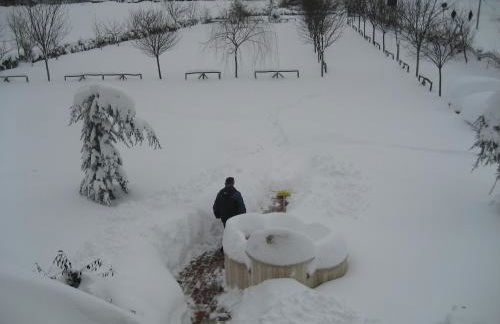 Agriturismo CHERUBINI DANIELA - Foto 5