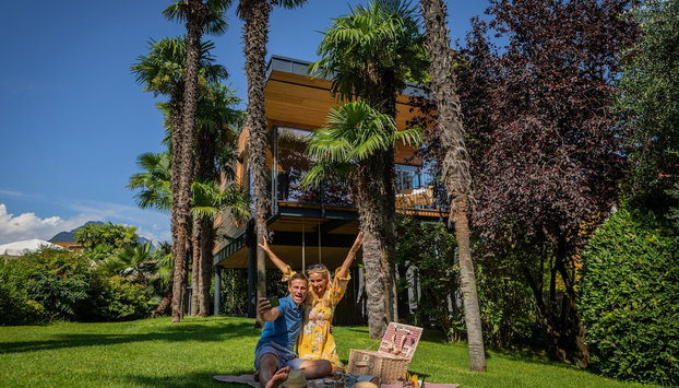 Treelodgy - Foto 5, Habitación