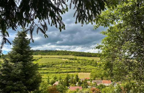 La cabotte du renard - Foto 24