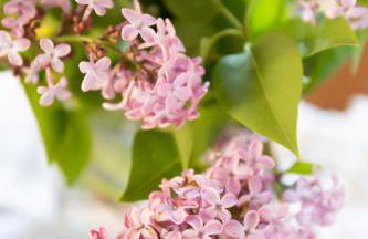 Noi2Vacanze FORTINO D'AMORE - Foto 46