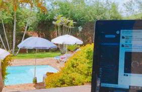 PARAÍSO ECOLÓGICO- REGIÃO ATIBAIA - Photo 22