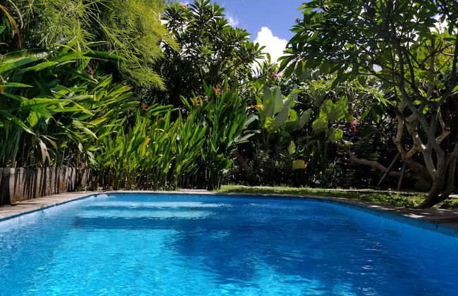 Kampoeng Bamboo - Foto 18