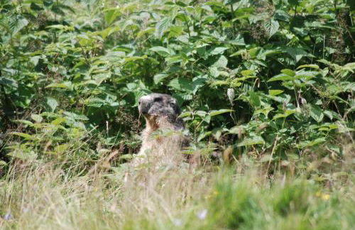 les Gites de l’E.D.E. - Photo 50
