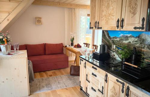 Pensjonat Dzianiszówka - Basen Jacuzzi Sauna - Foto 28