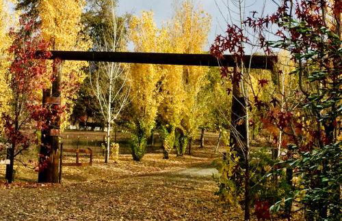 Quiet Cottage Rental for Two in Horse Country near Yosemite National Park Gateway, California - Foto 19