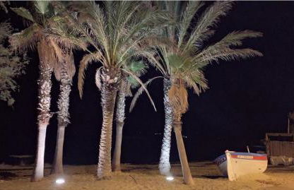 FACE MER ENTRE PLAGE ET MARINA - Foto 38