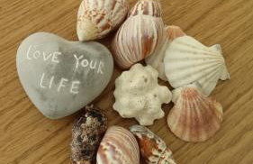 Haus Helga - Foto 13