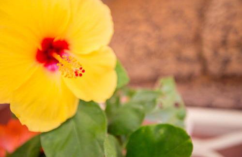 Oceanfront Cottage Near the Kalapana Lava Flows - Foto 28