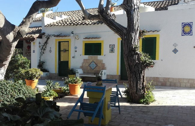 Zagara di Sicilia - Foto 70