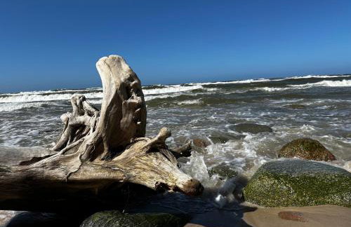 Apartament 9 Nina - Dębina - Foto 50