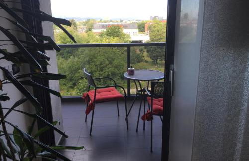 Nova Galerija Studio Vita i Apartman Sara -parking in garage - Foto 42