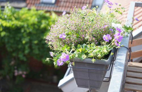 FeWo Elbdeichliebe - Photo 4