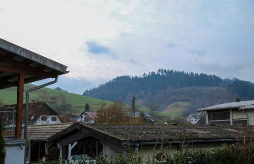 Ferienwohnung Sterzl mit Terrasse im Münstertal - Foto 20