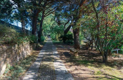 Peñagorda, casa con vistas en Barco de Ávila - Photo 19