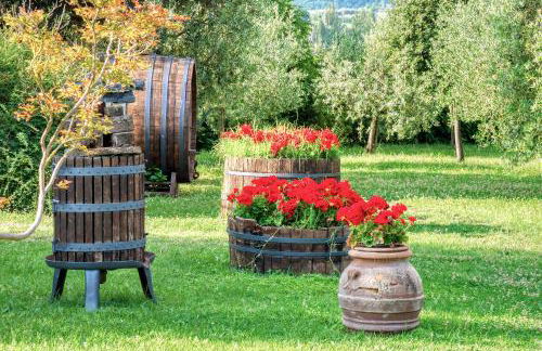 Agriturismo Le Terre del Casale - Photo 16