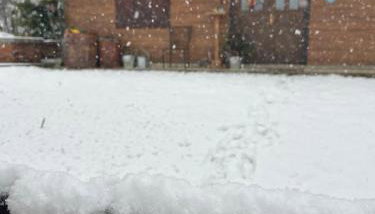 Kuća za odmor Josipa - Foto 5