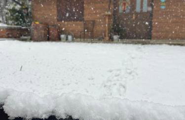 Kuća za odmor Josipa - Foto 5