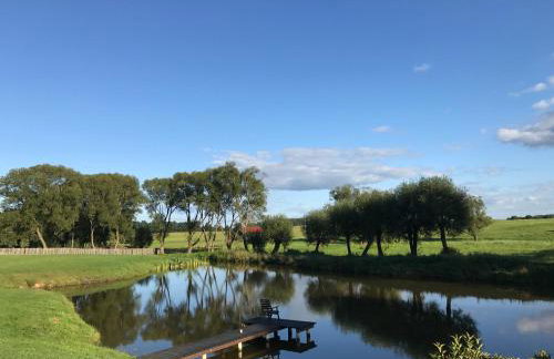 Andrzejówka - Photo 75