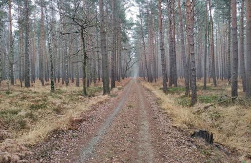 Ferienhaus Erna - Foto 47