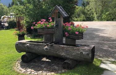 Ferienwohnungen Anton Geierstanger - Foto 52