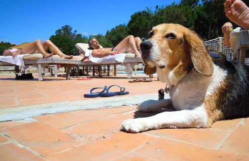 Residenza Capriccioli - Foto 64