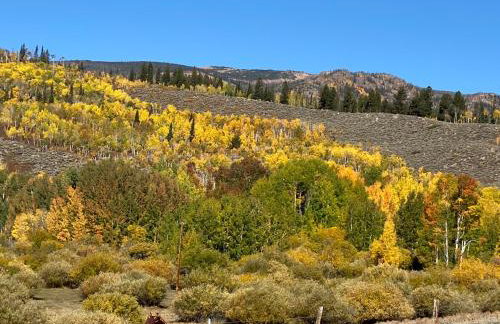 Wapiti Retreat at 22 West Cabins and Recreation - Foto 56