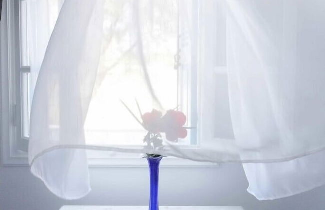 Villa Venus - Foto 14