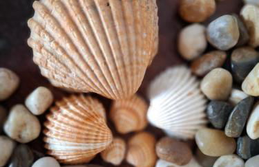 IDEAL FAMILIAS - Apartamento de 3 habitaciones completamente renovado - Foto 28