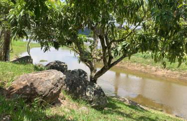 Casa do Lago Sairé - Photo 14