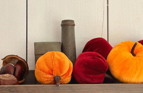 Cosy Devon Hut Woodland Views - Photo 61