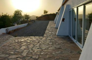 Natur Amêndoa - Foto 59