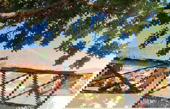 Chalés Passagem do Canto - Foto 3