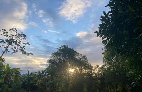 Rancho Refugio Verde AL - Foto 23