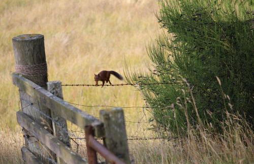 Lodges at the Mains - Photo 26