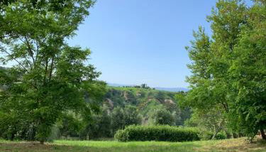 IL PAGO - Foto 2, Garden view