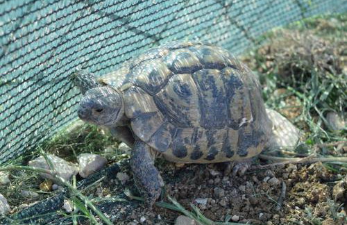 Savršen odmor u Villa Ivona - Photo 27