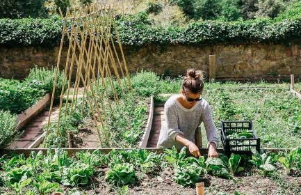 Villa Lena - Foto 37