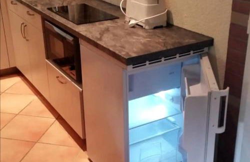 Ruhiges, sehr schönes Haus/Grundstück in Elbnähe. - Foto 8