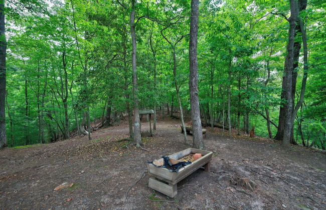 2 Bedroom Home in Ellijay! Private Hot Tub and Sunset Views - Foto 36