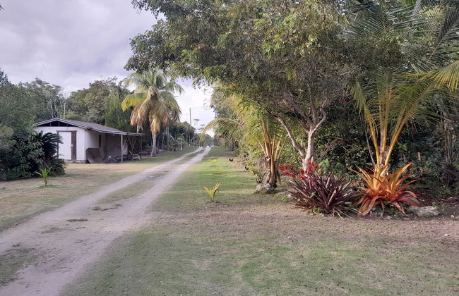 PARADISE CREEK COTTAGES - Foto 29